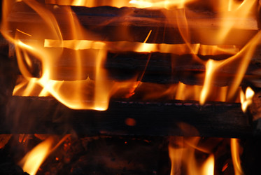 Similar image 21556724