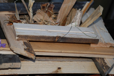 Similar image 21556725