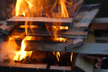 Similar image 21556726