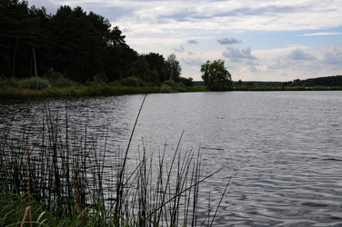 Similar image 21556458