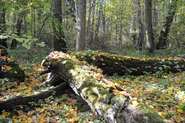 Similar image 21555367