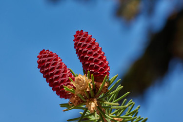 Similar image 21556299