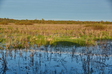 Similar image 21556300