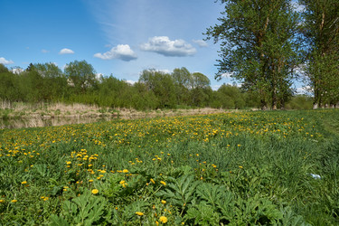 Similar image 21555152