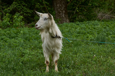 Similar image 21555377