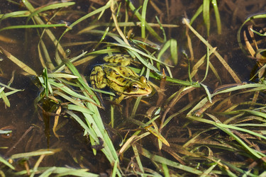 Similar image 21557266