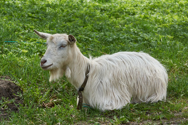 Similar image 21555155