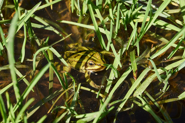 Similar image 21555378