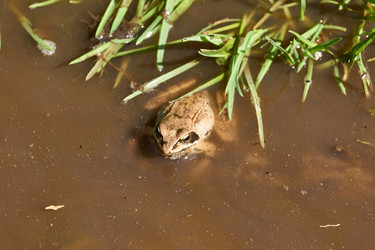 Similar image 21556459