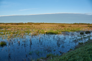 Similar image 21555157