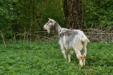 Similar image 21556461