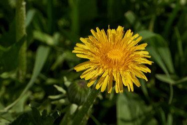 Similar image 21557576