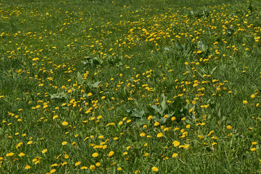 Similar image 21555160