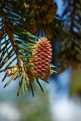 Similar image 21557271