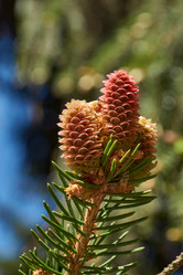 Similar image 21556463