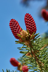 Similar image 21555381