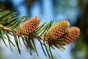 Similar image 21555164