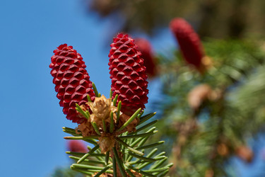 Similar image 21555165