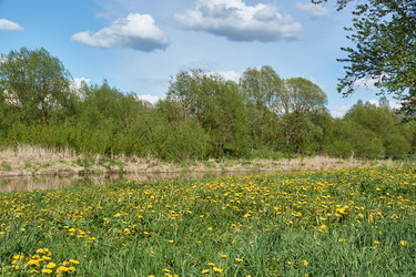 Similar image 21555167