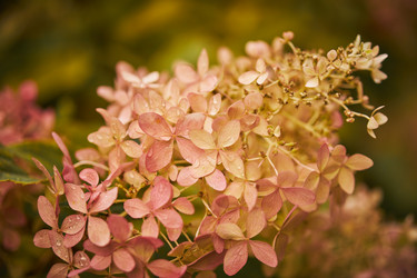 Similar image 21555886