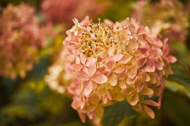 Similar image 21555887