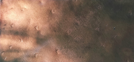 Similar image 21627426