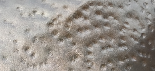 Similar image 21627428