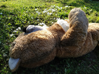 Similar image 21627429