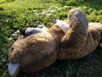 Similar image 21627432