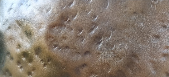 Similar image 21629117