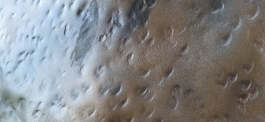 Similar image 21629119