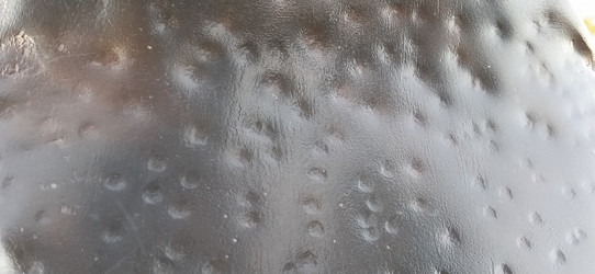 Similar image 21629141