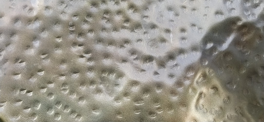 Similar image 21629143