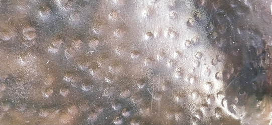 Similar image 21629145