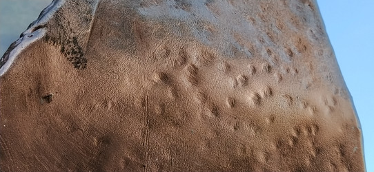 Similar image 21629147