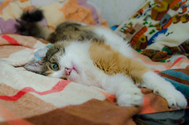 Similar image 21554958