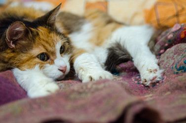 Similar image 21554960