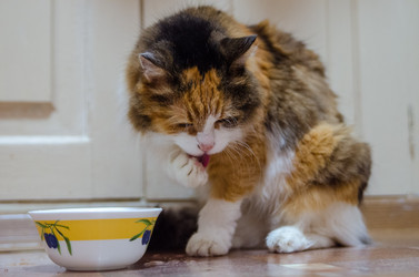 Similar image 21554961