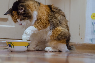 Similar image 21554962