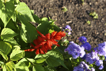 Similar image 21555447