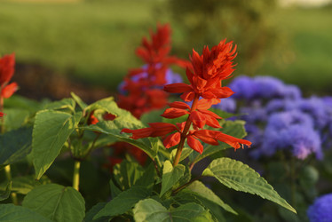 Similar image 21555452