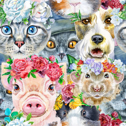 Similar image 21555087