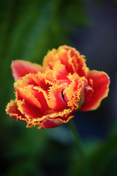 Similar image 21560772