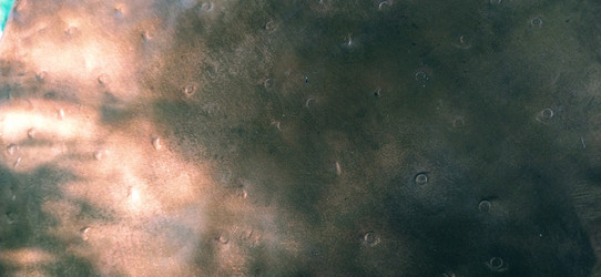 Similar image 21621886