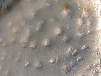 Similar image 21626946