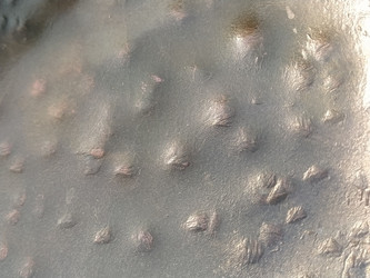 Similar image 21627029