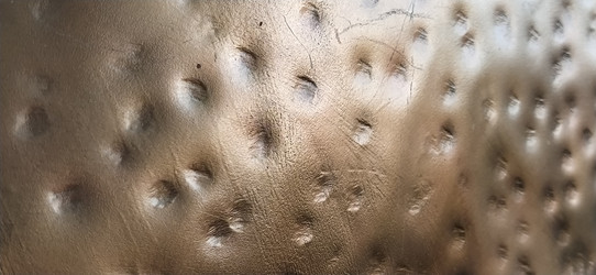 Similar image 21627031