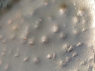 Similar image 21627032