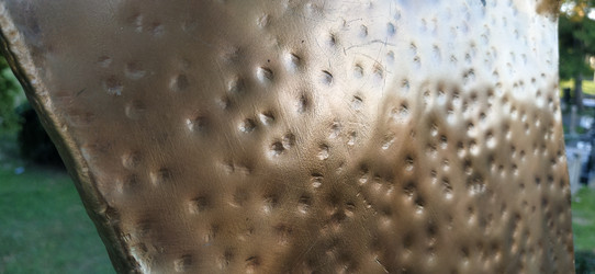 Similar image 21627126