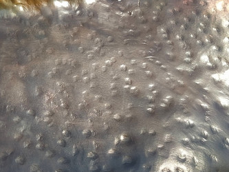 Similar image 21627130